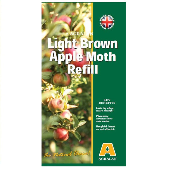 Light Brown Apple Moth Refill