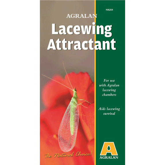 Lacewing Attractant