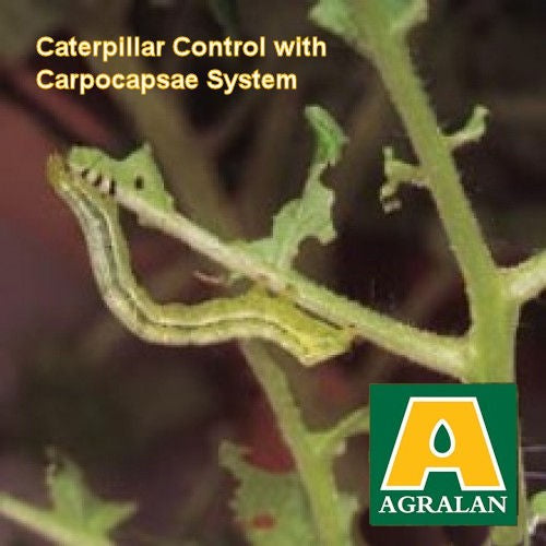 Agralan Fruit & Vegetable Protection Nematodes