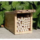 Mason Bee Nest Box