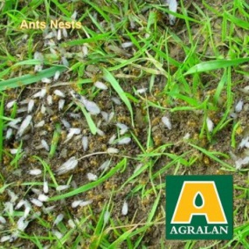 Agralan Ant Nest Control Nematodes
