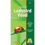 Ladybird Feeder (Pack of 2)