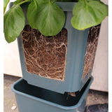 Potato Gro-Pot (1)