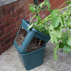 Potato Gro-Pot (1)