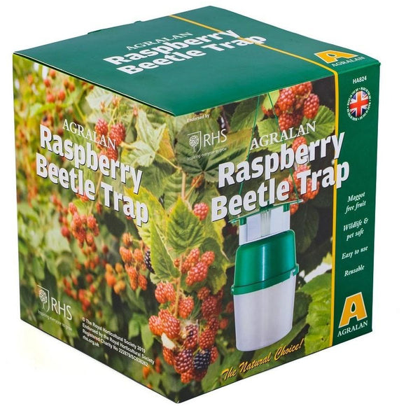 Raspberry Beetle Trap