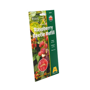 Raspberry Beetle Refill