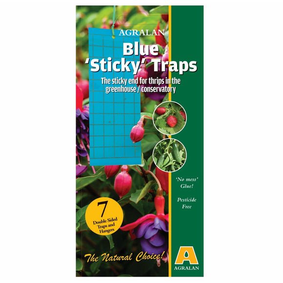 Blue Sticky Traps 7 Pack