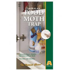 Food Moth Trap Pack of 3