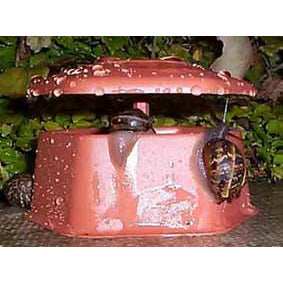 Portable Slug & Snail Trap